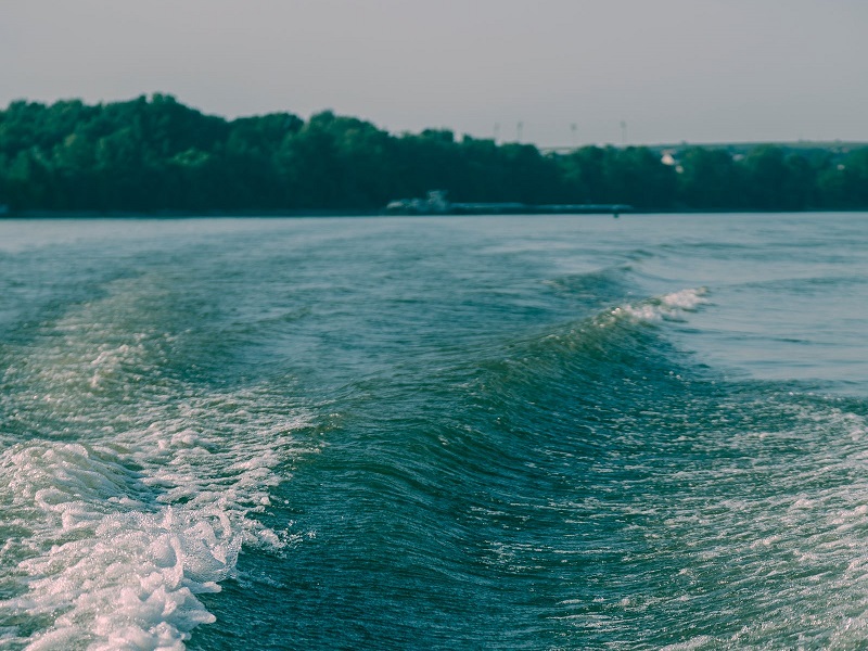 1733729501699036.jpg 148.jpg