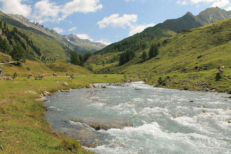 水中铁离子的检测方法