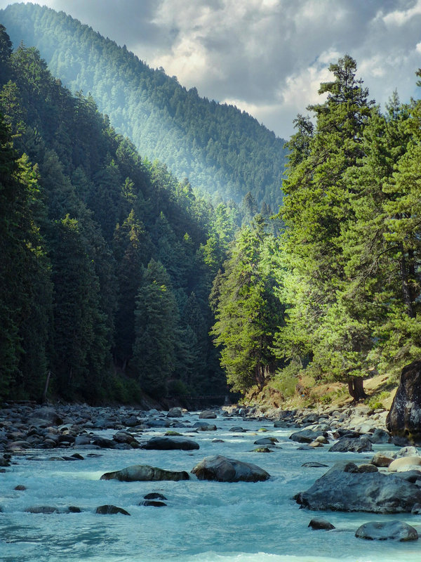 醛的分布特征及其影响因素