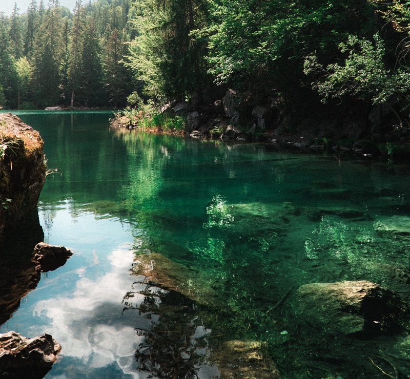 1737184719602004.jpg 62.jpg