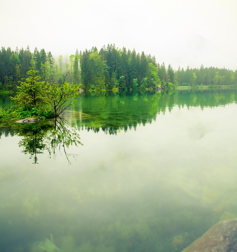 1739260679867653.jpg 34.jpg