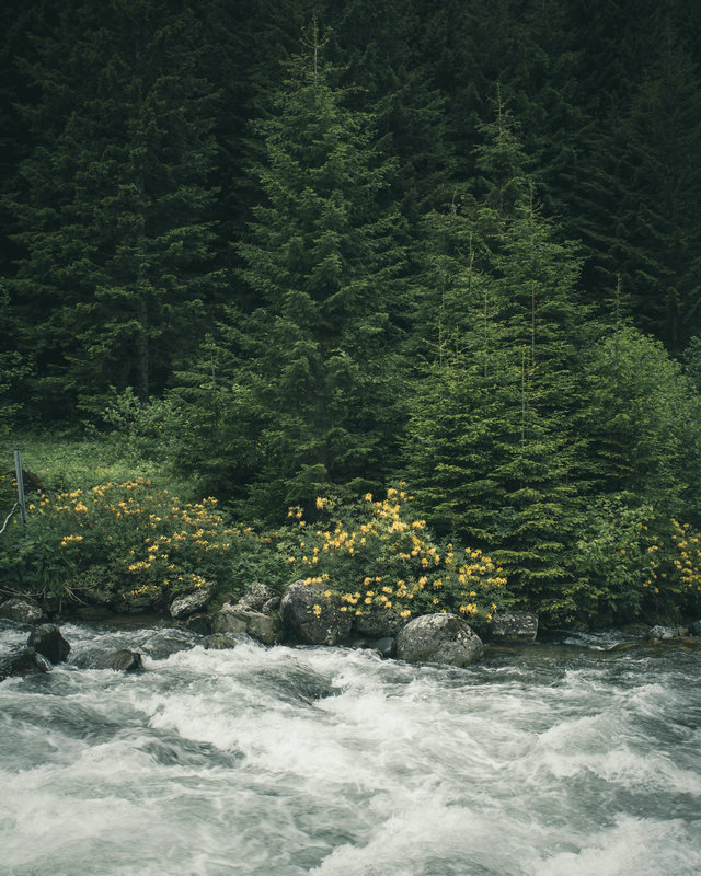 污泥浓度水质自动监测站