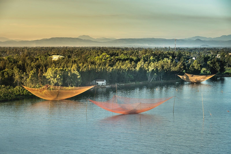 1741417930295642.jpg 176.jpg