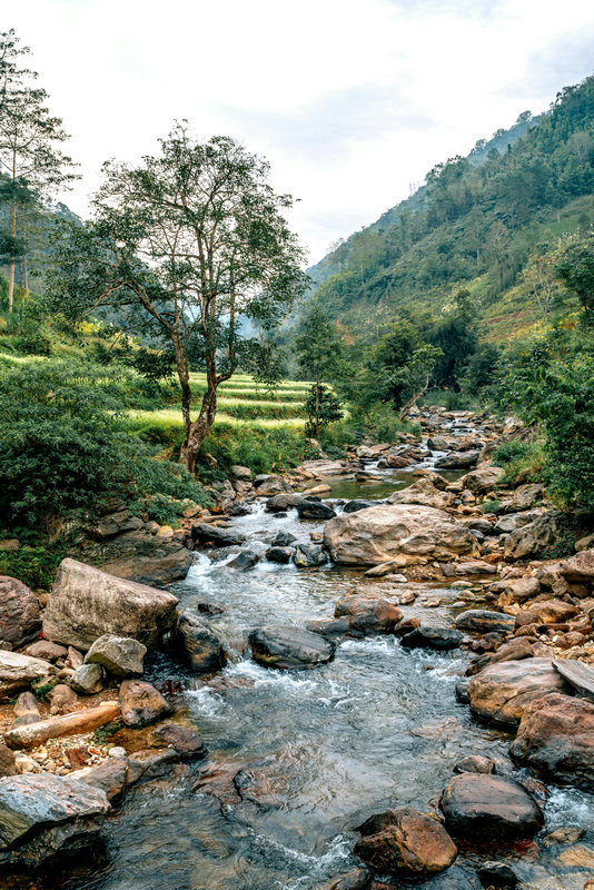 在线COD监测仪 在线COD监测仪