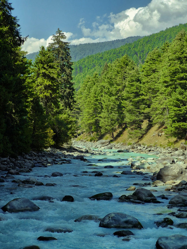 氨气敏水质自动监测站