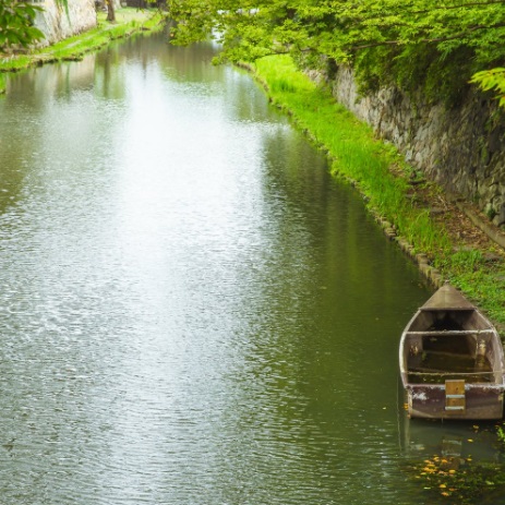 1748339247531752.jpg 11.jpg