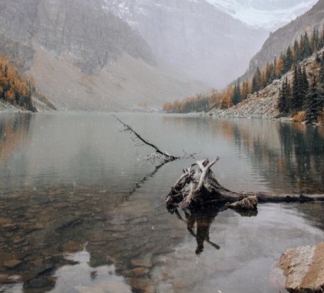 1748420473173307.jpg 7.jpg