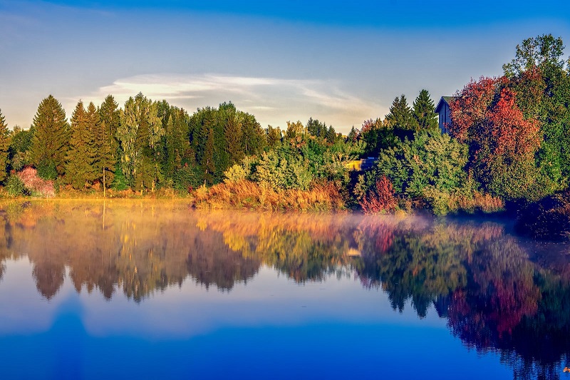 1750060633190504.jpg 198.jpg