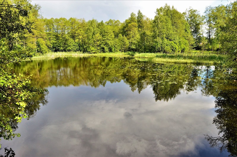 1755237820159129.jpg 74.jpg