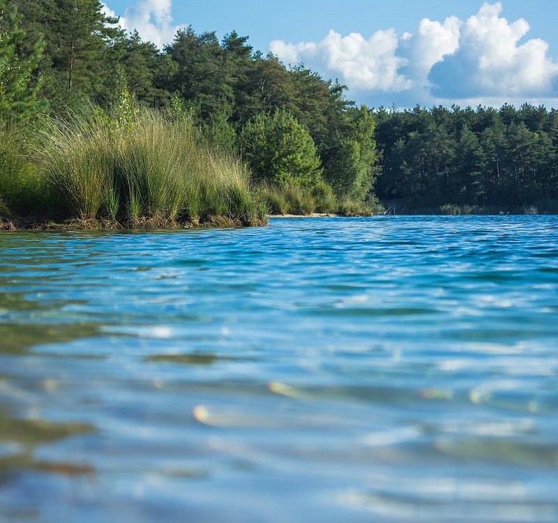 1763954724161220.jpg 67.jpg