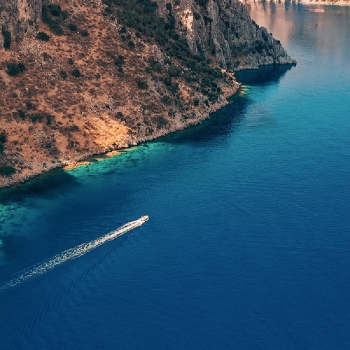 205.jpg